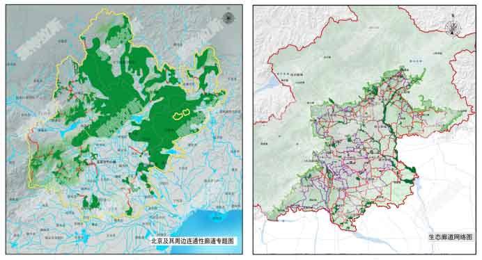 基于生(shēng)物(wù)多樣性區域景觀連通性網絡及生(shēng)态廊道構建規劃